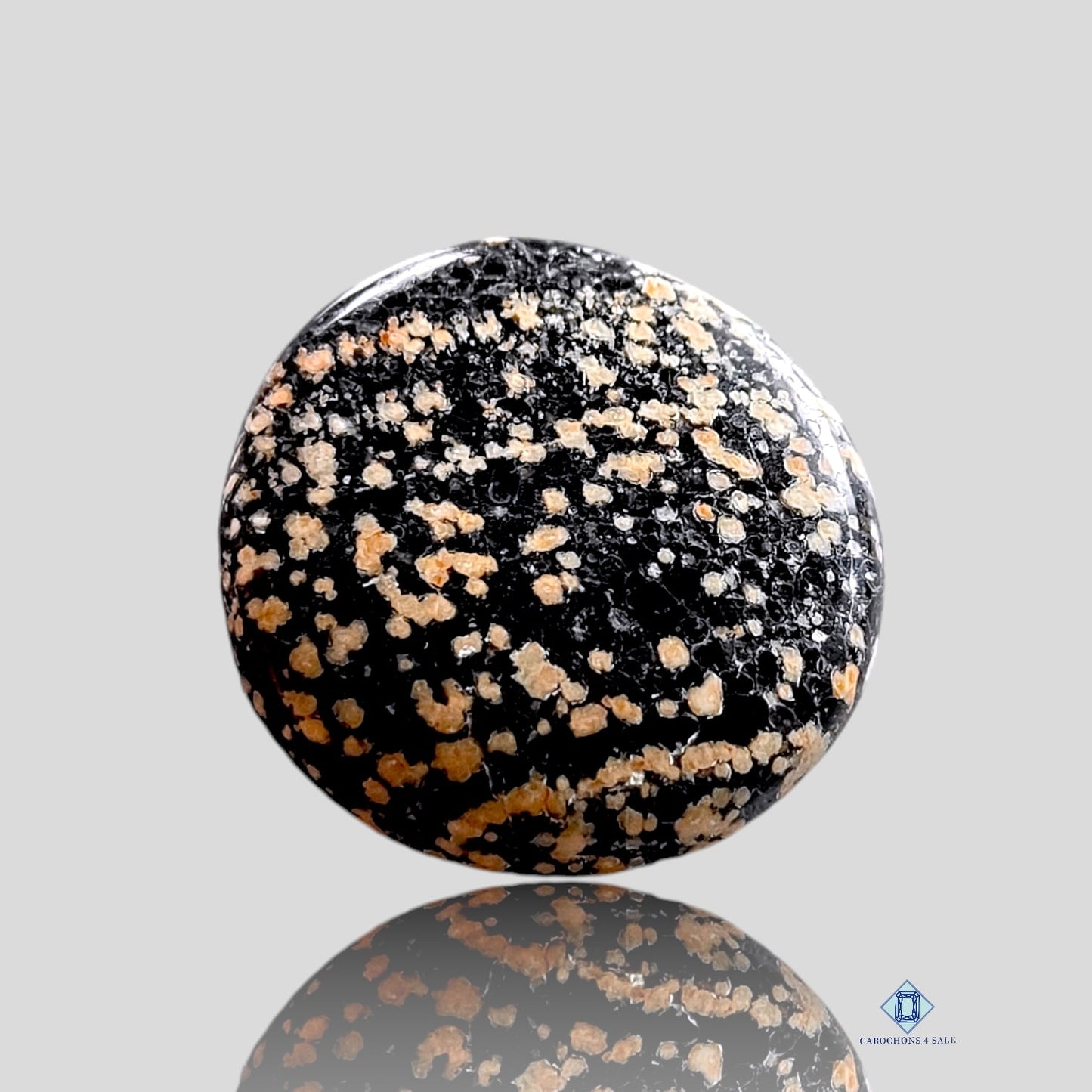 Orbicular Jaspis-Rund-Cabochons