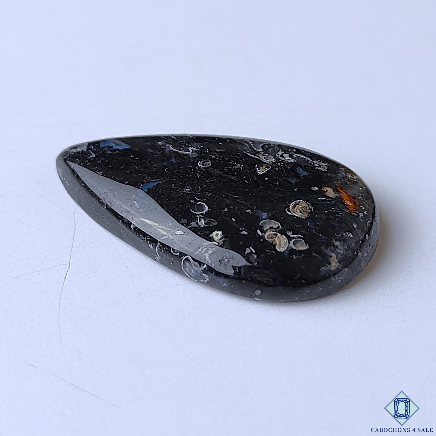Palm Root Agate