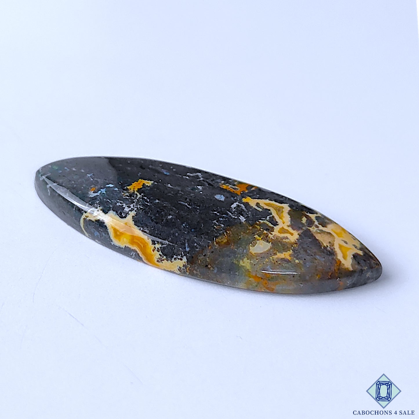 Palm Root Agate
