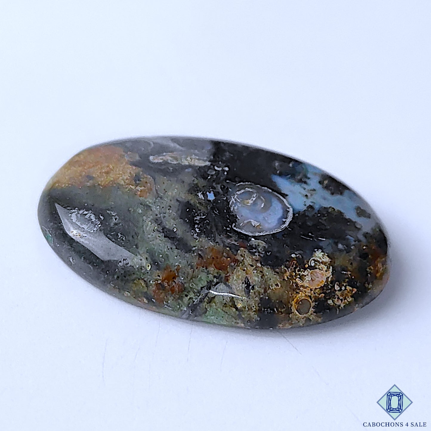 Palm Root Agate