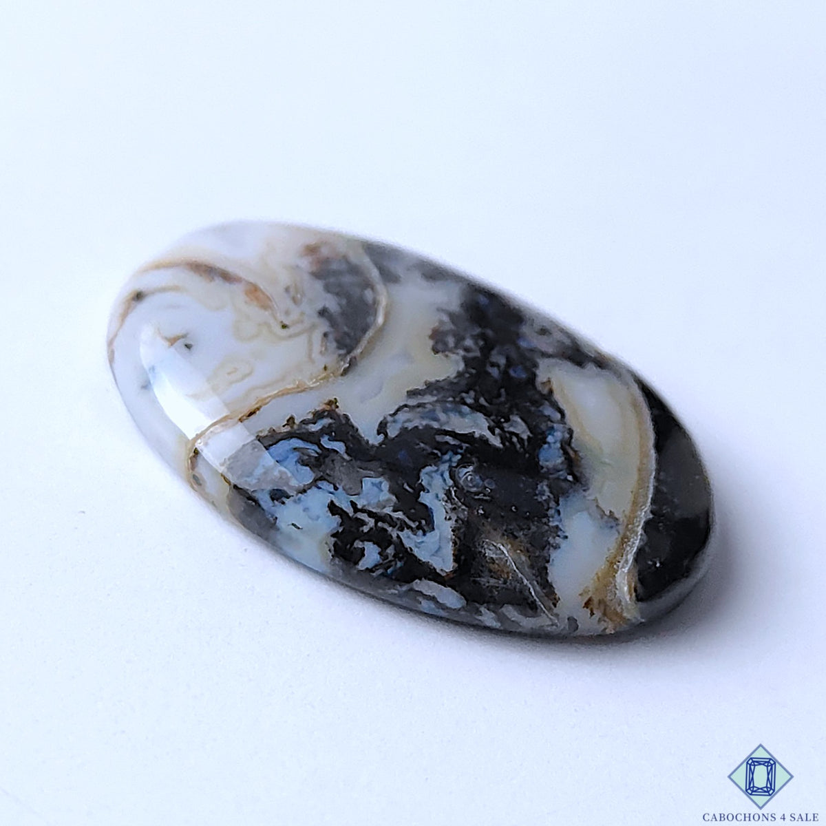 Palm Root Agate