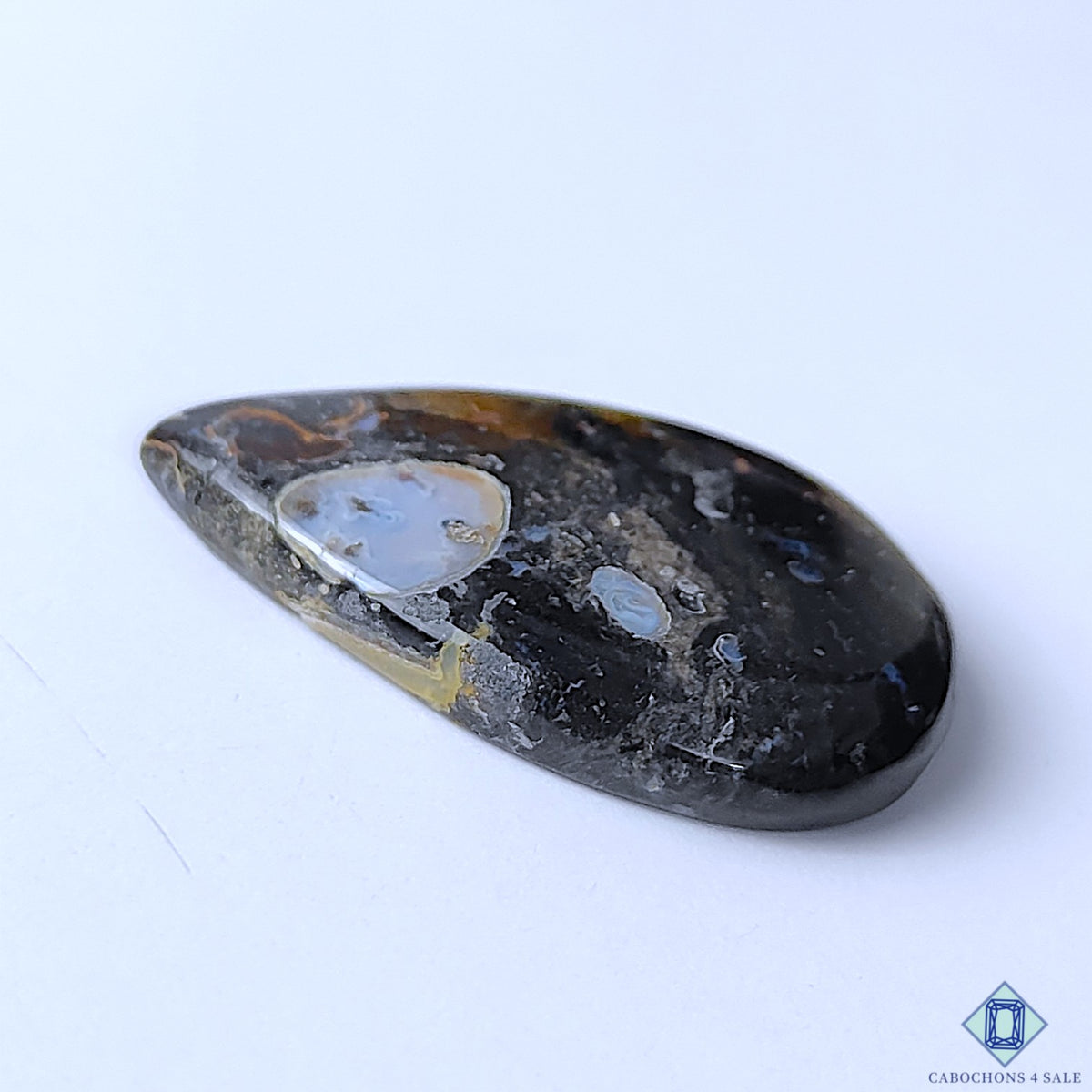 Palm Root Agate