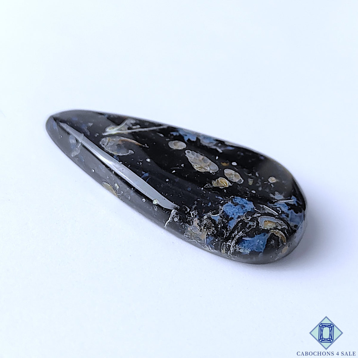 Palm Root Agate