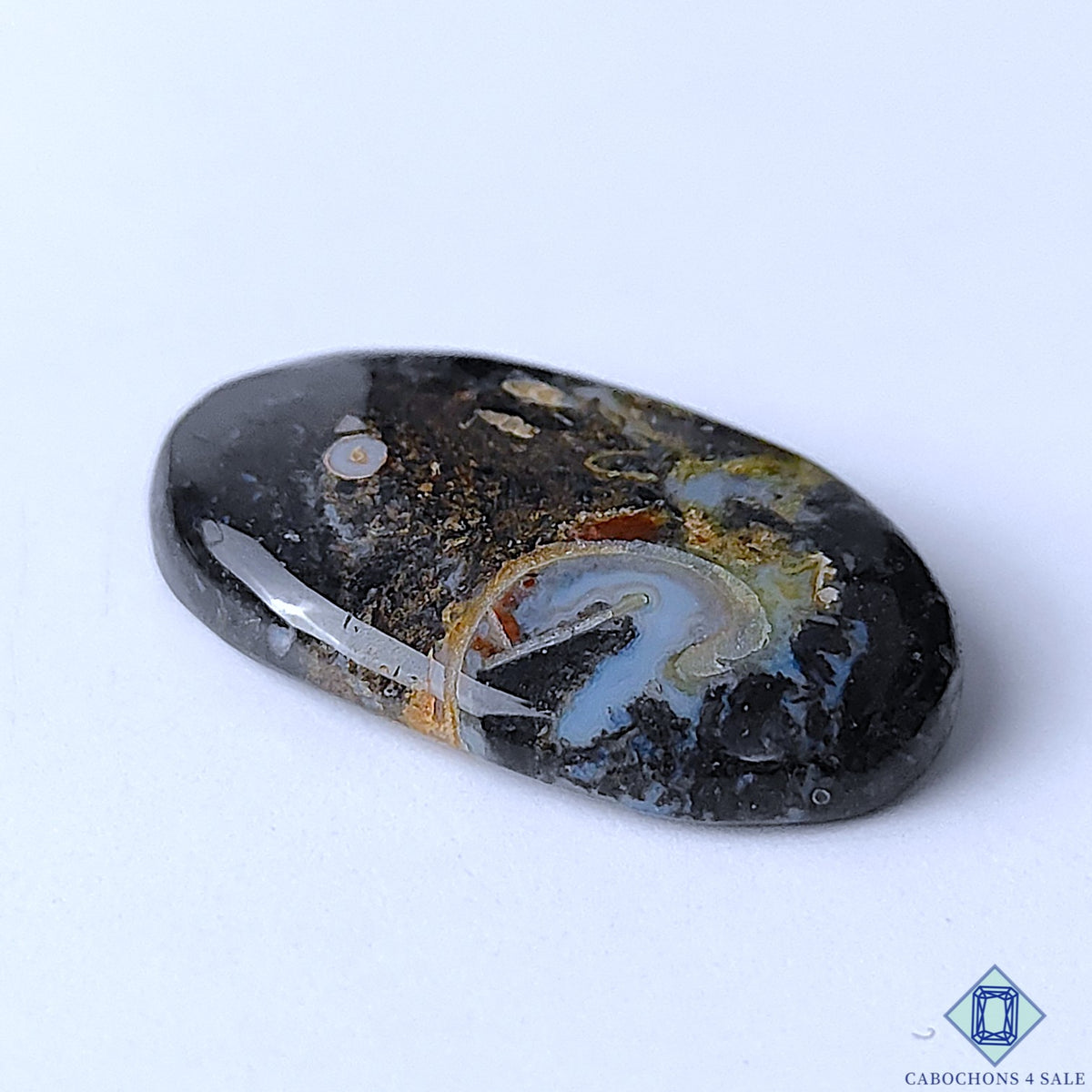 Palm Root Agate