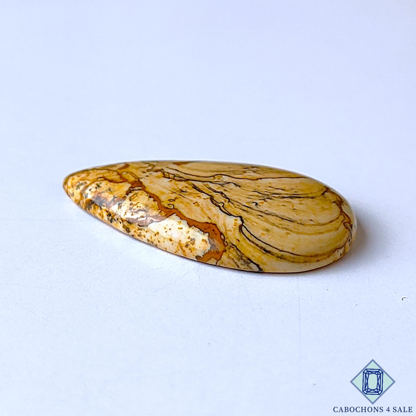 Picture Jasper