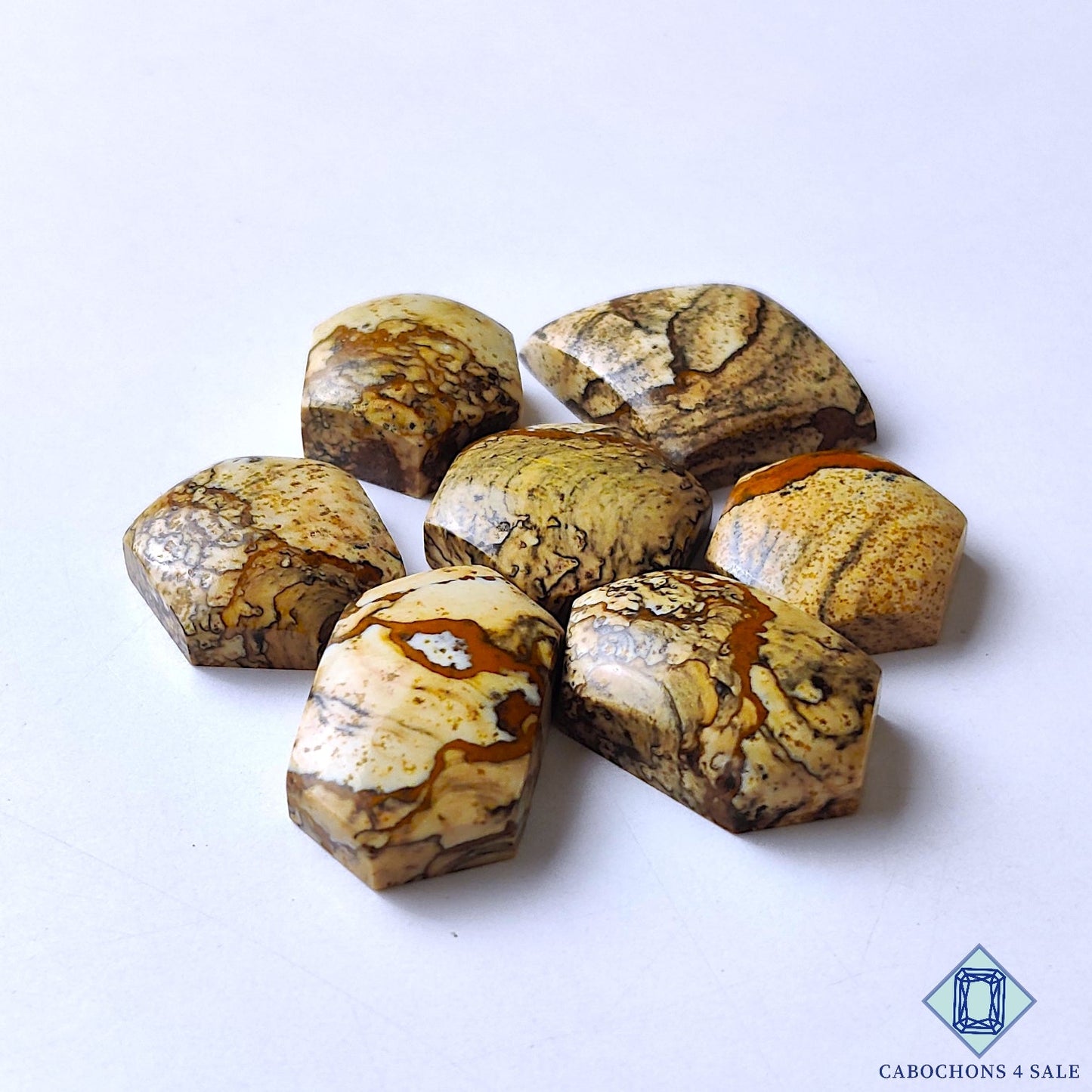 Picture Jasper