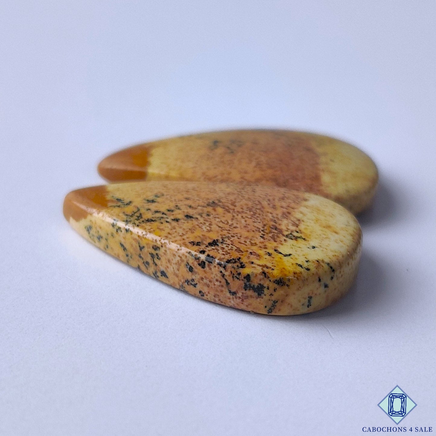 Picture Jasper