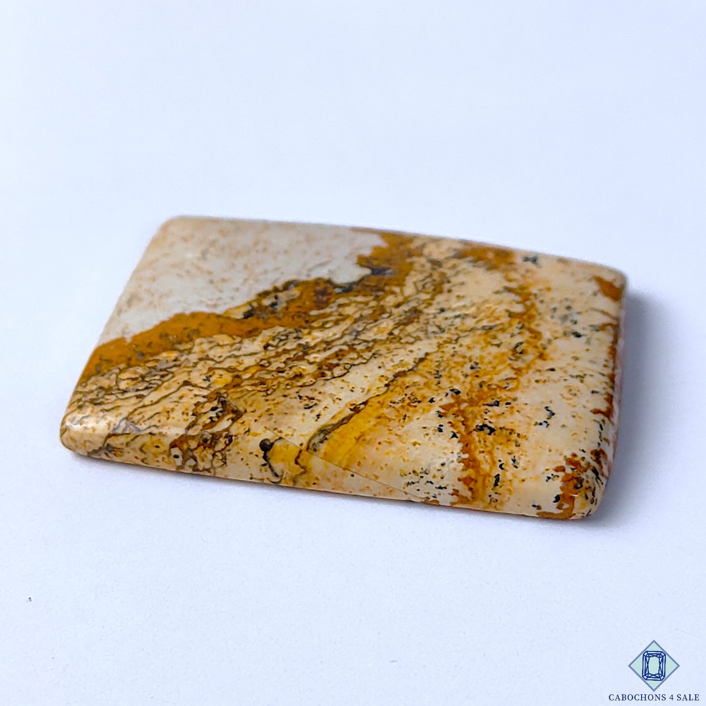 Picture Jasper