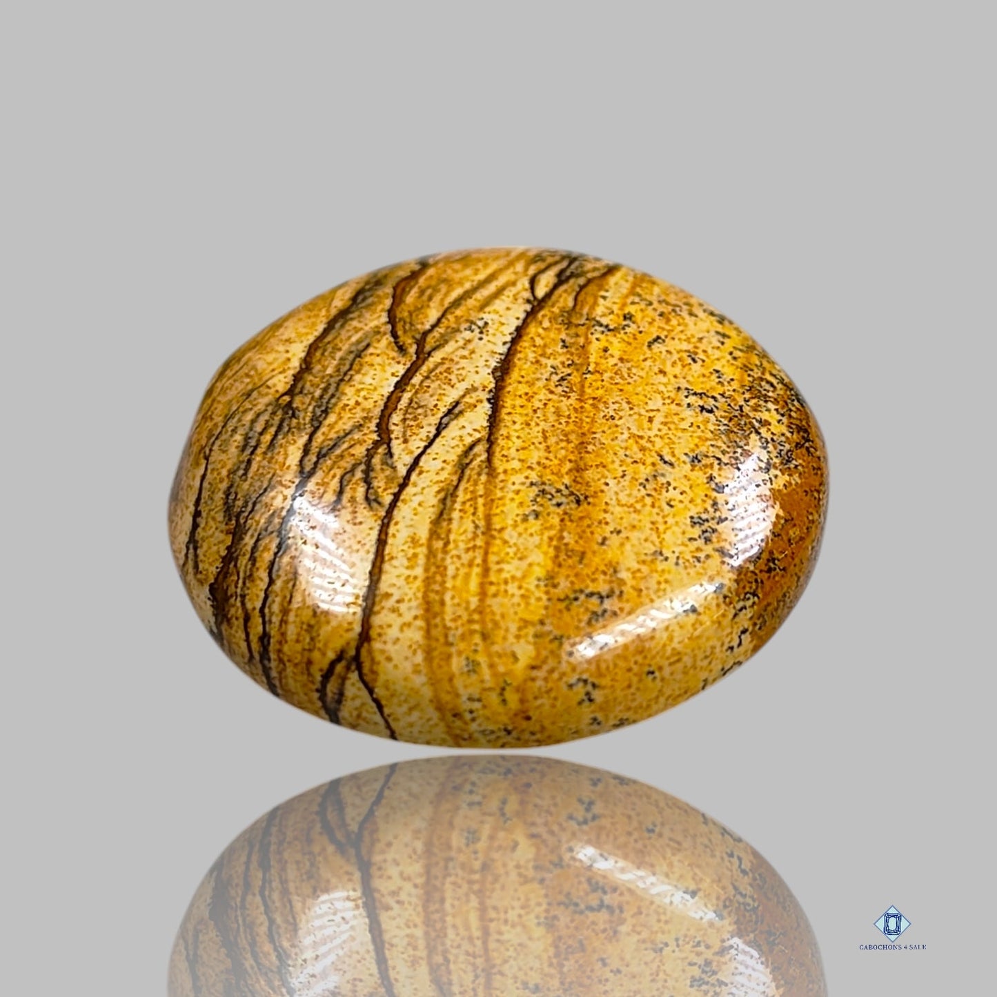 Cabujones redondos de jaspe con imagen