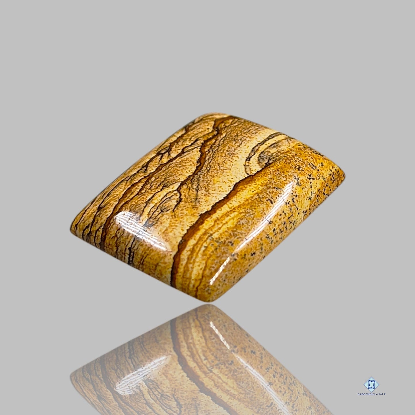 Picture Jasper Rectangle Cabochons