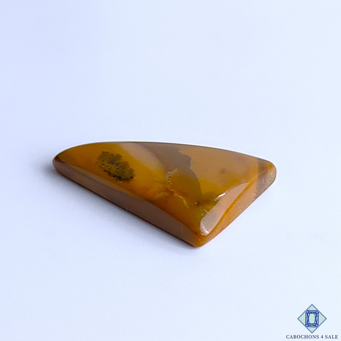 Polychrome Jasper