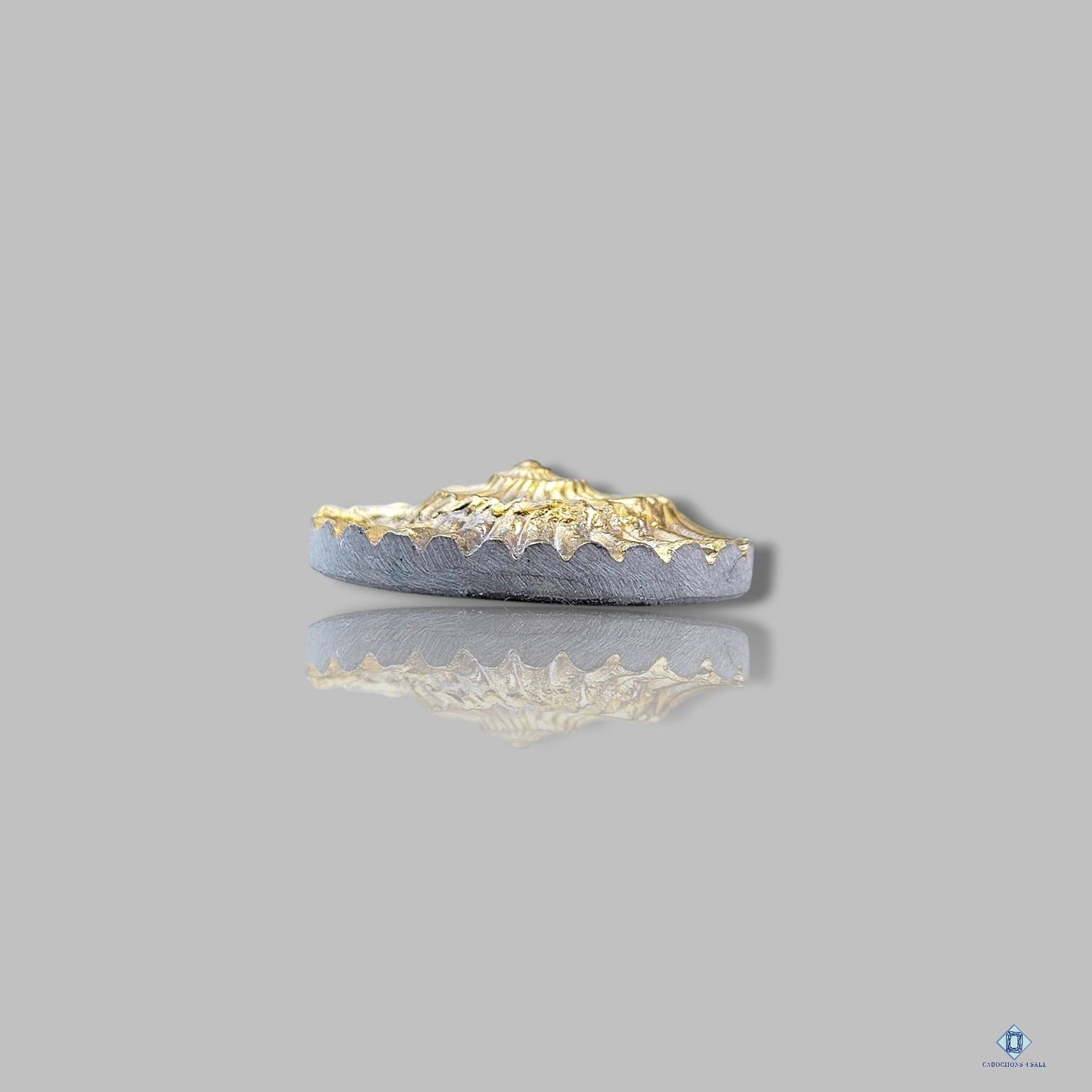 Pyritized Ammonite Fossil Oval Carvings