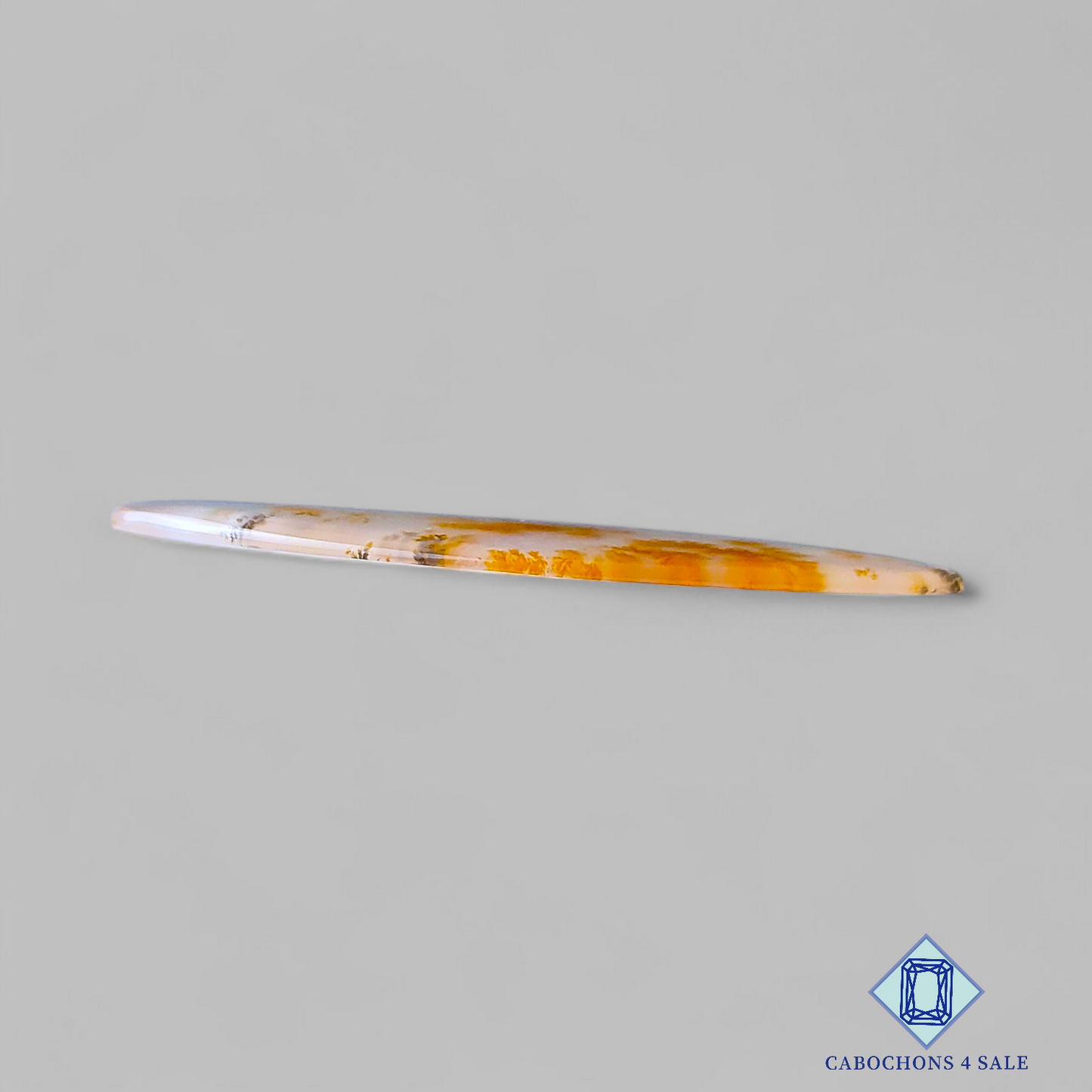 Russian Dendritic Agate