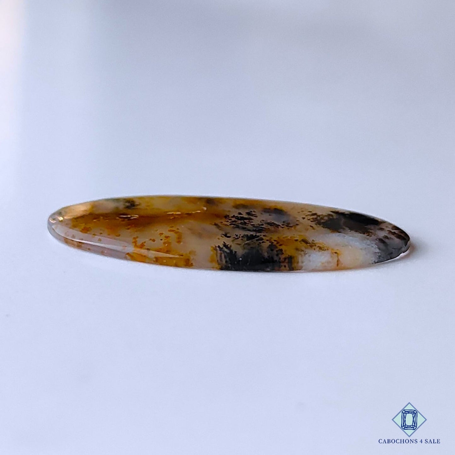 Russian Dendritic Agate