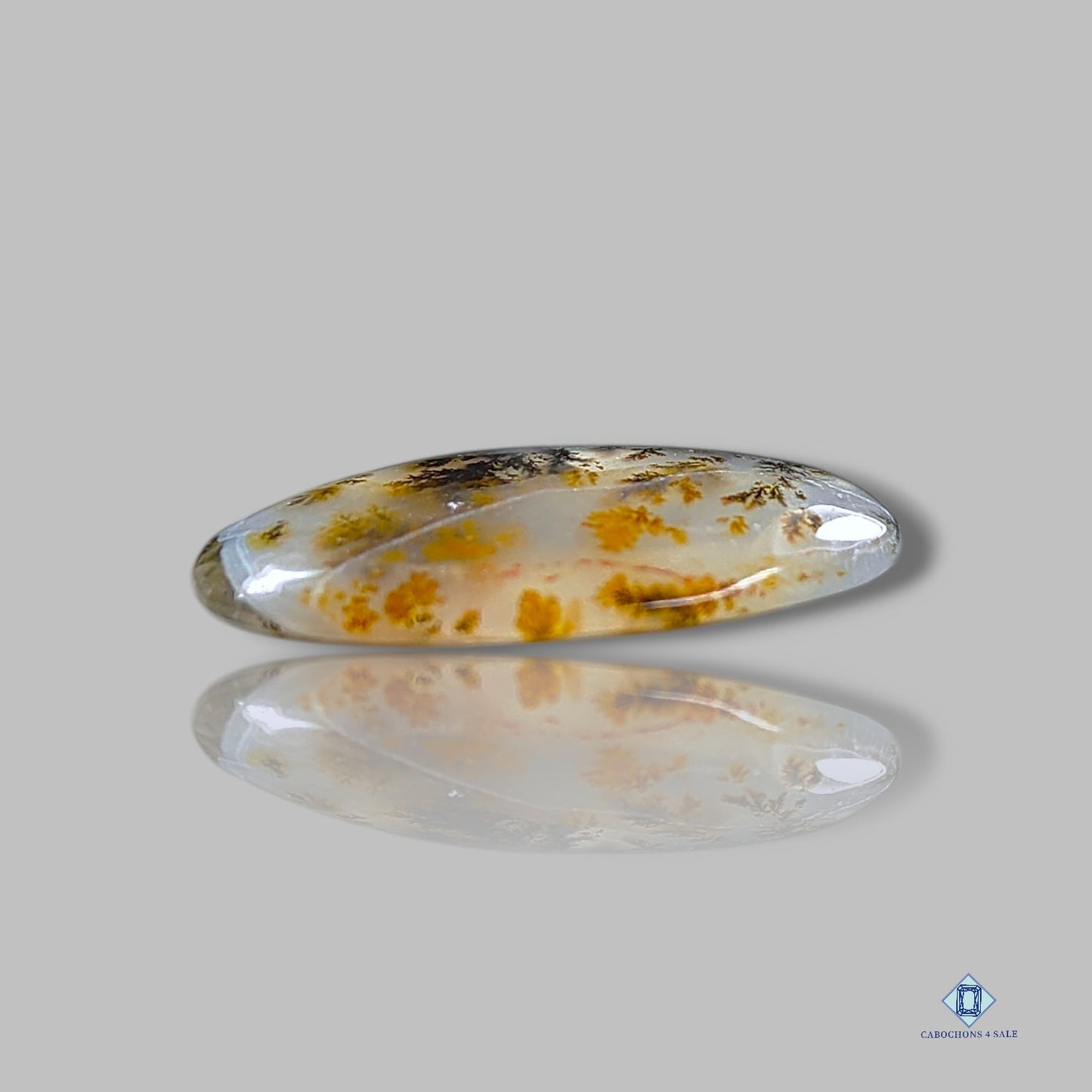 Cabujones ovalados de ágata dendrítica rusa