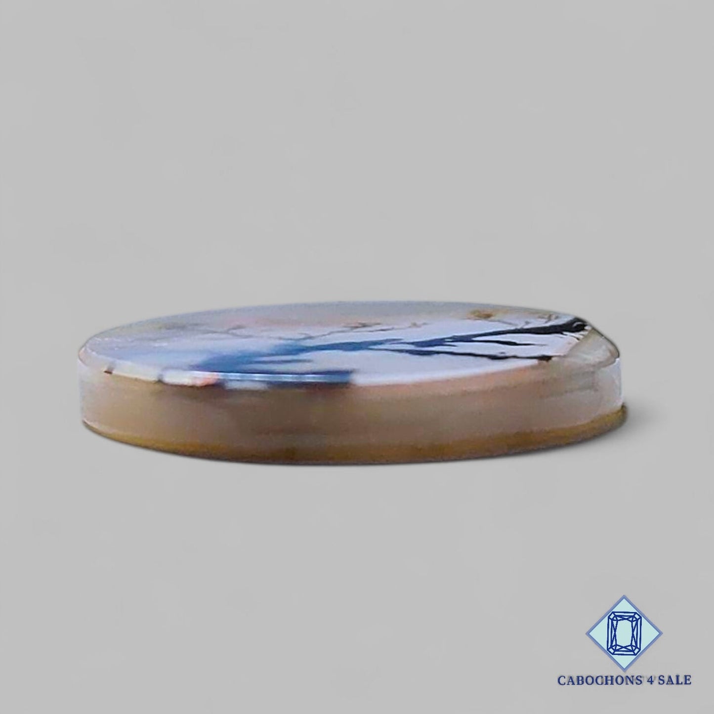 Natural Scenic Agate Gemstone Round Cabochons 20*3mm from Brazil available for sale