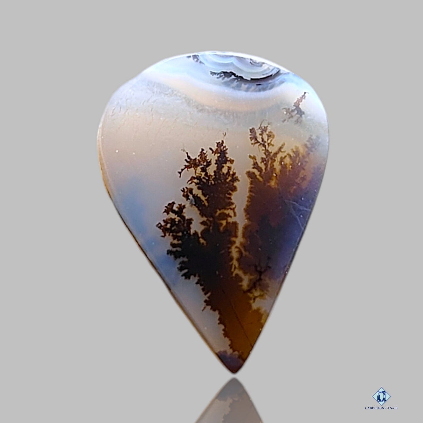 Scenic Agate Pear Cabochons