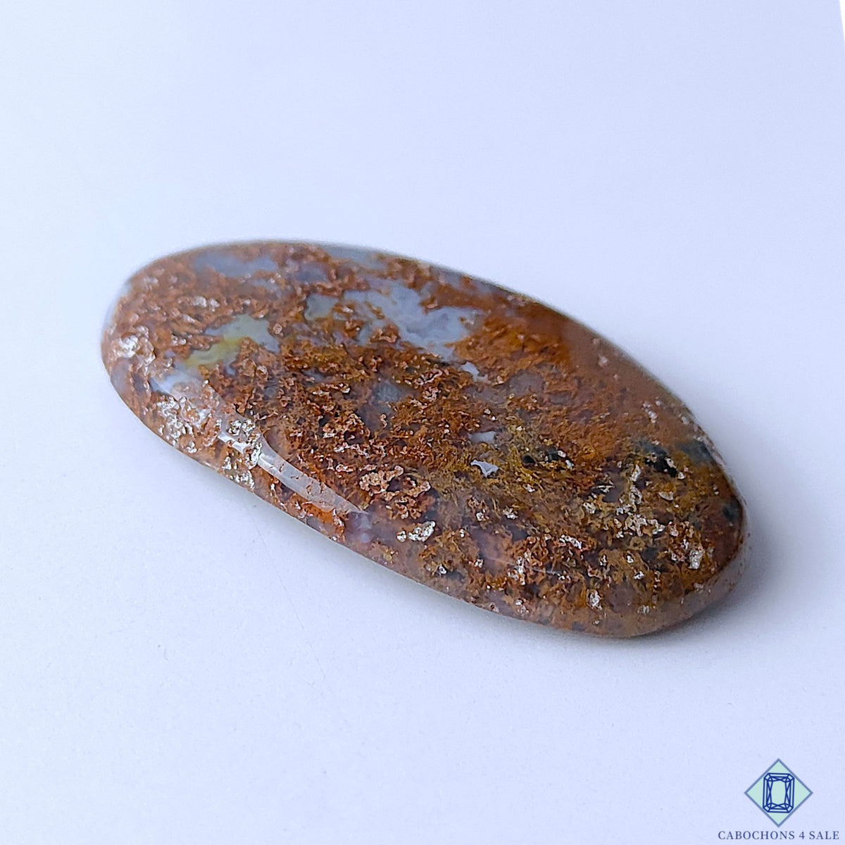 Scenic Moss Agate