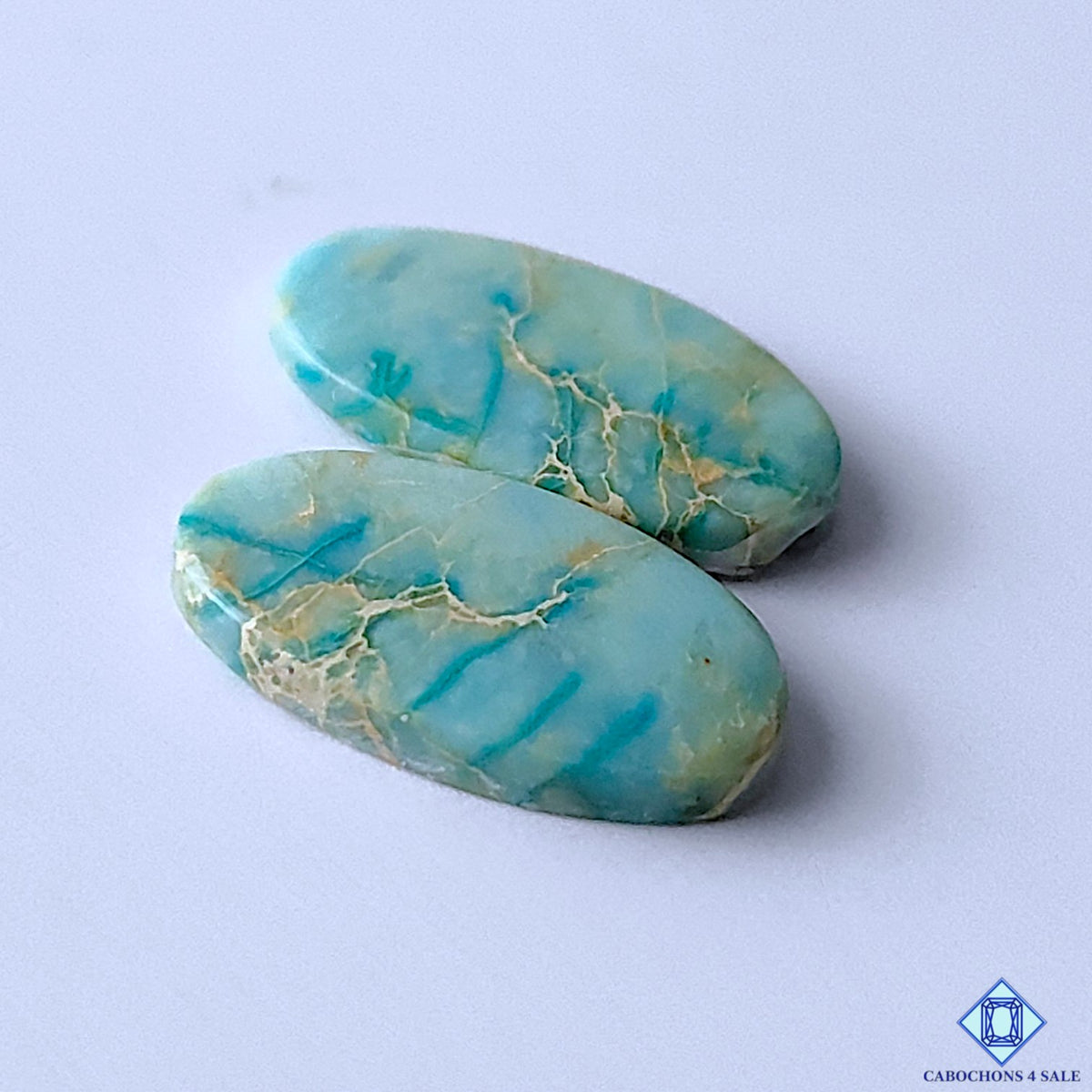 Sea Sediment Jasper