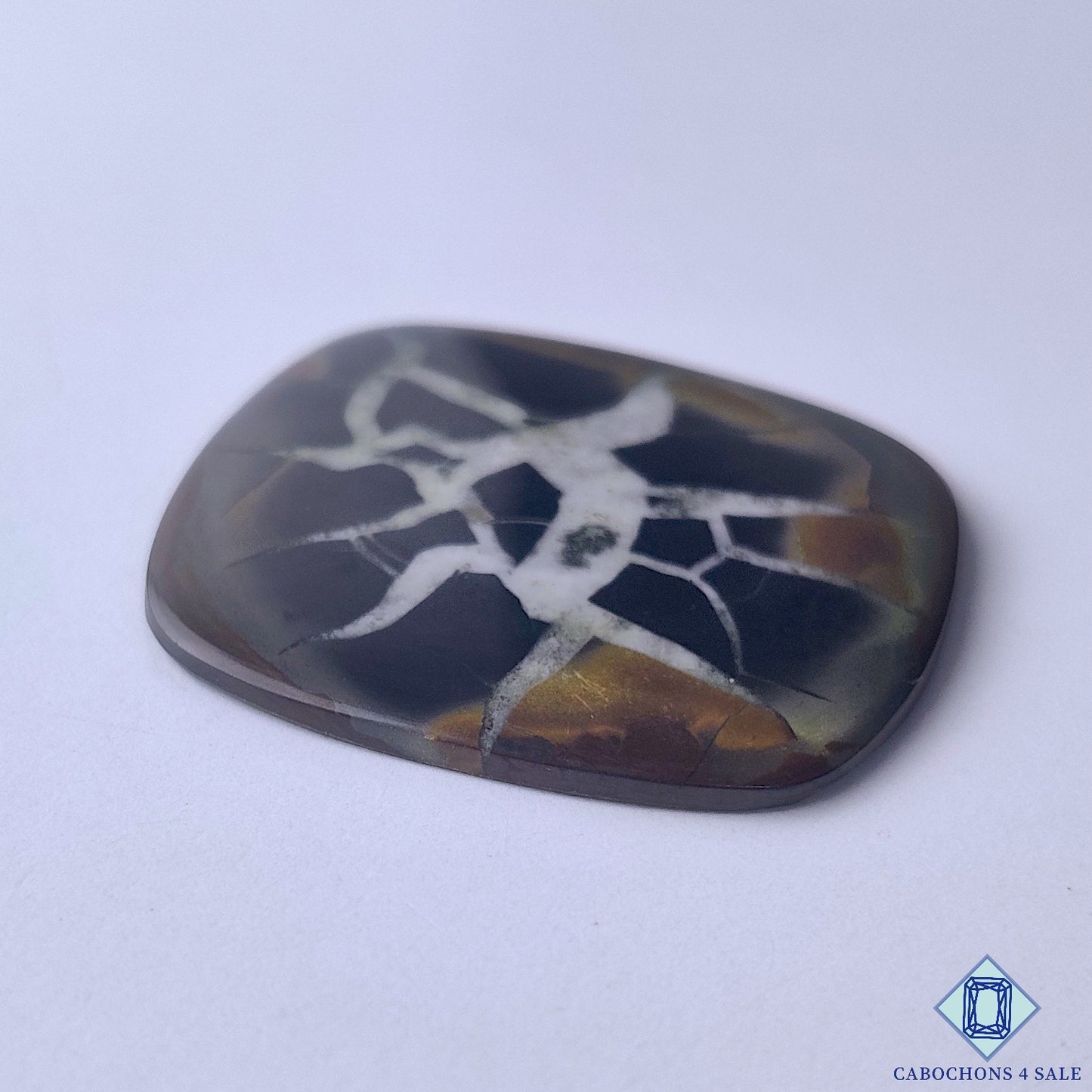 Septarian