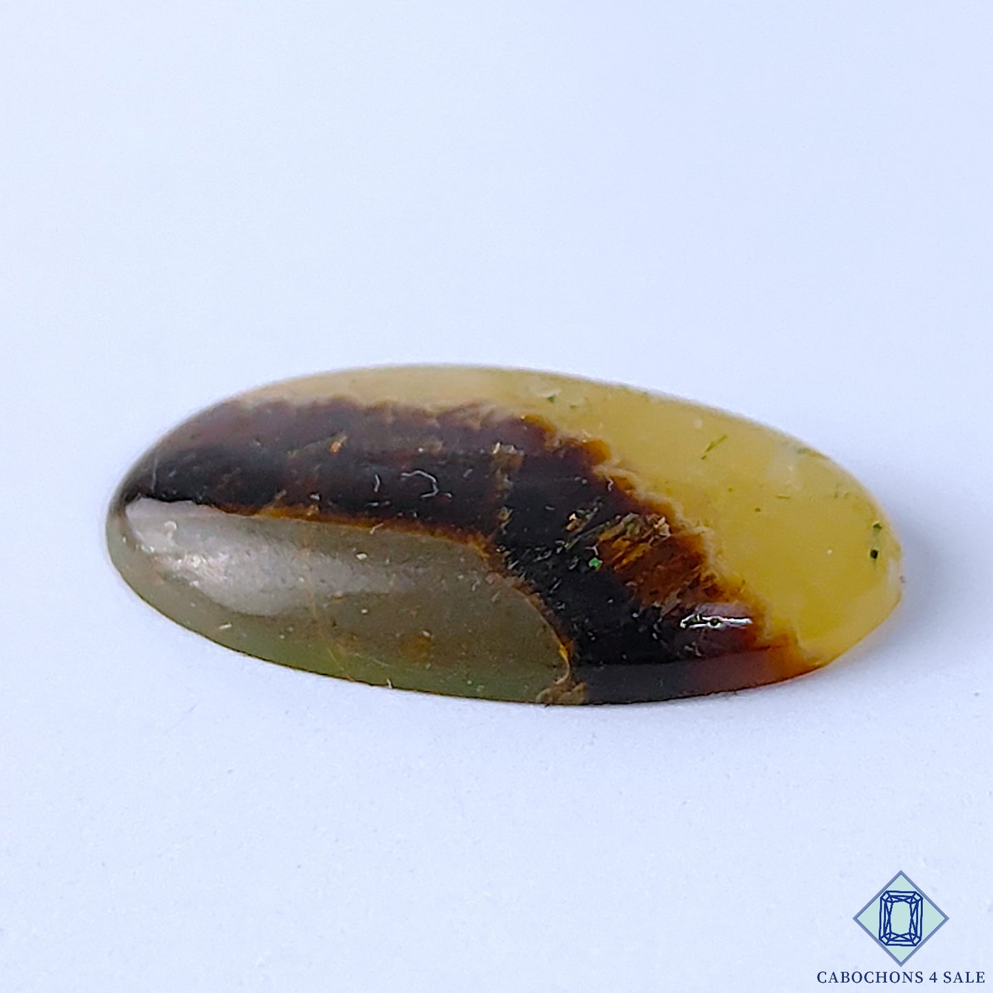 Septarian