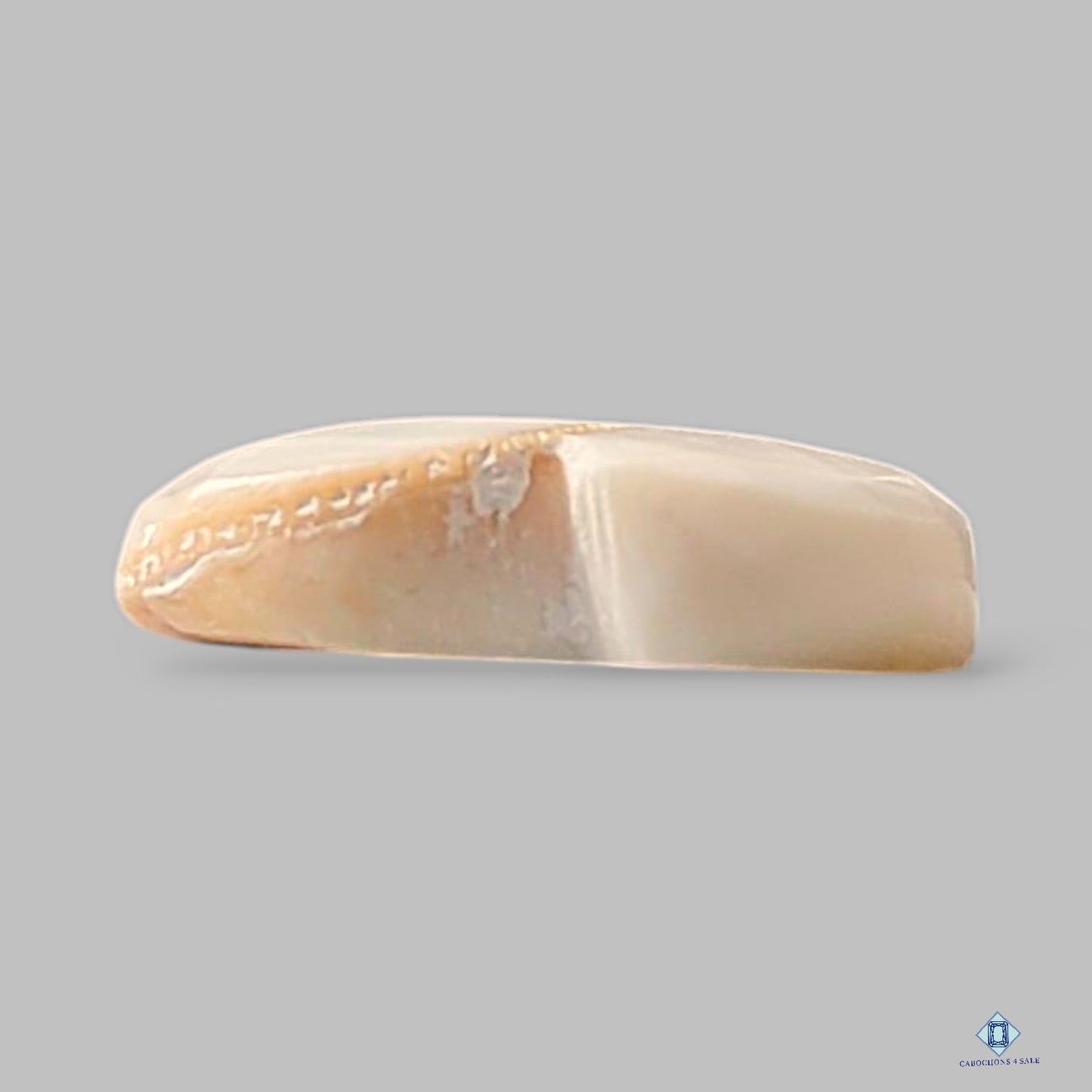 Natural Shiva Gemstone Heart Cabochons 13*13*4mm from India available for sale