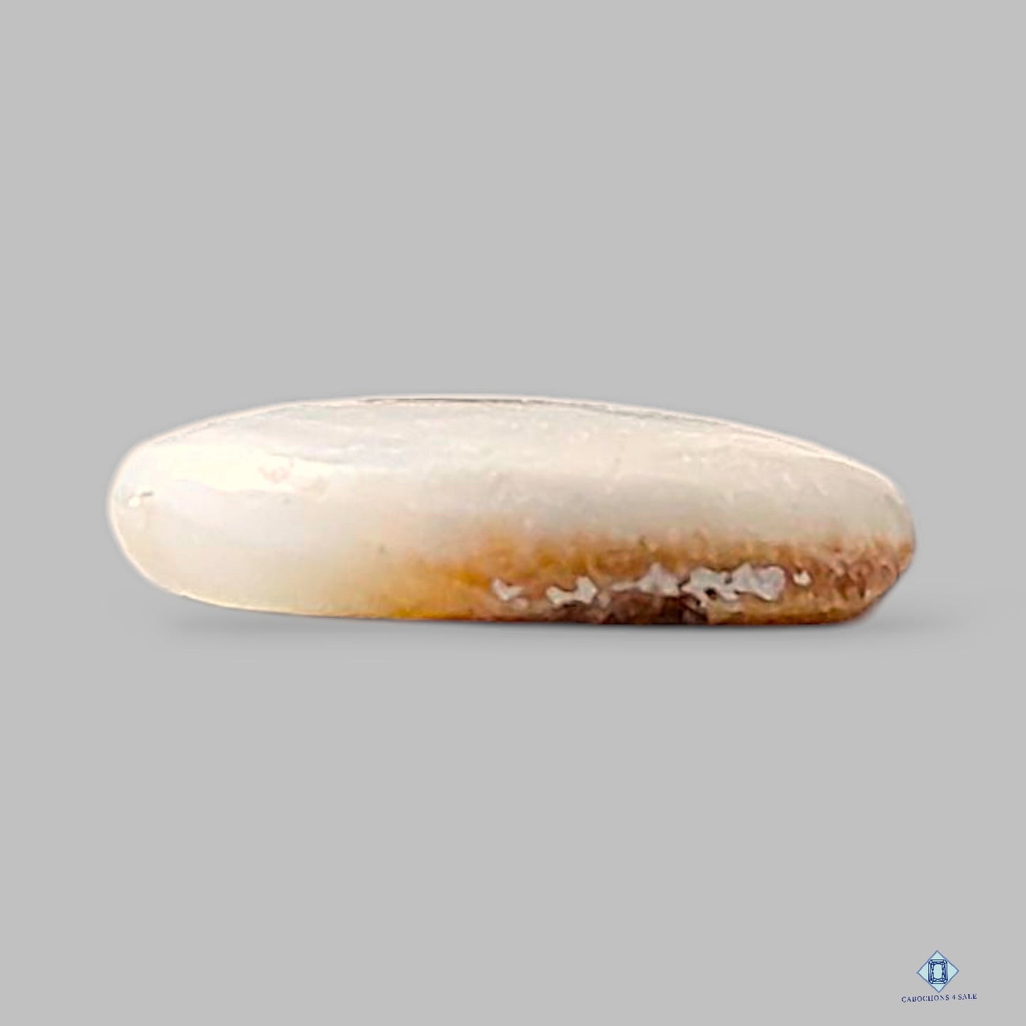 Natural Shiva Gemstone Round Cabochons 11*3mm from India available for sale