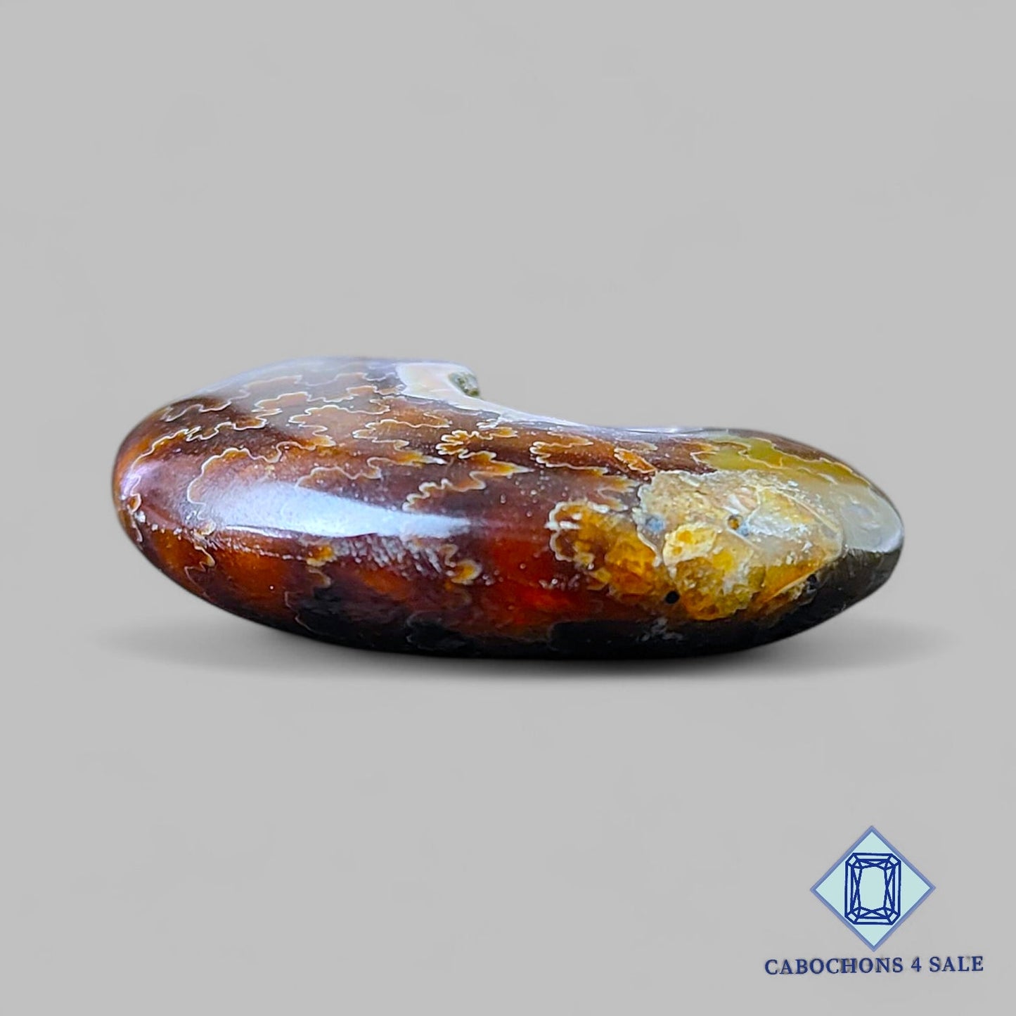 Natural Suture Ammonite Gemstone Fancy Druzy 34*27*10mm from Canada available for sale