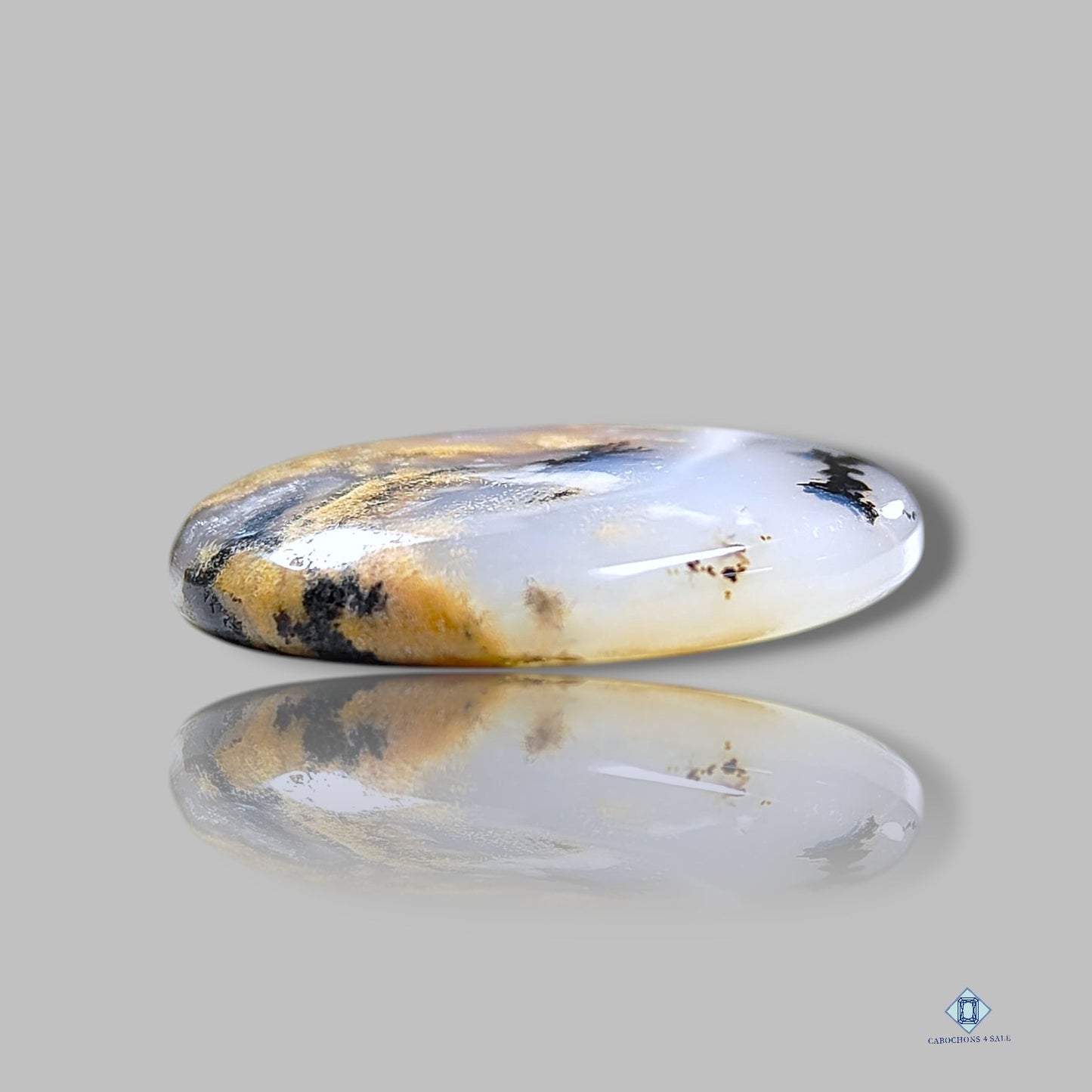 Cabujones redondos de ágata dendrita tigre