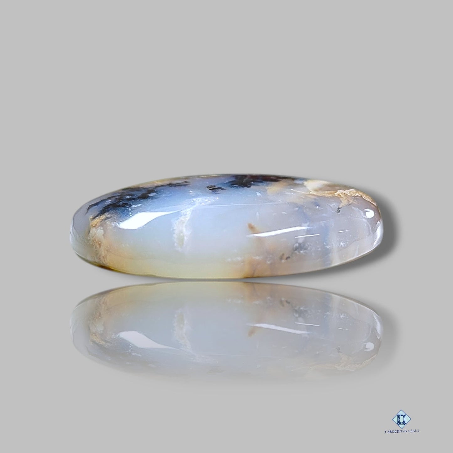 Cabujones redondos de ágata dendrita tigre