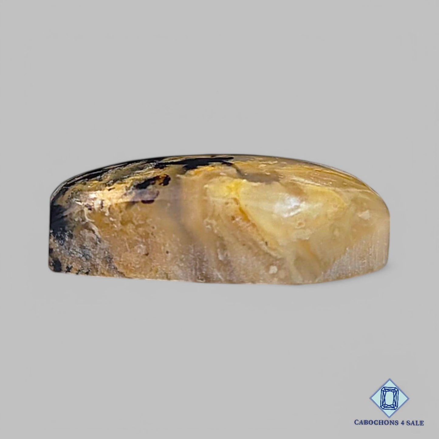 Natural Tiger Dendritic Gemstone Fancy Cabochons 18*13*6mm from Mexico available for sale