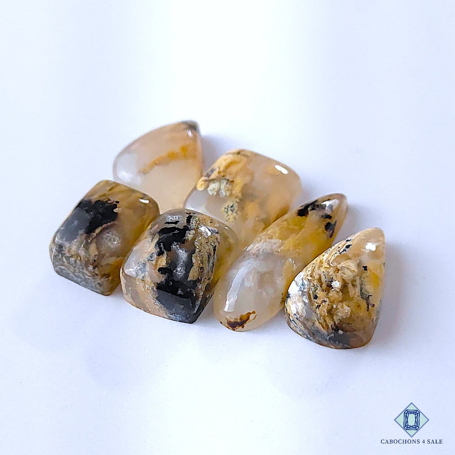 Tiger Dendritic Agate