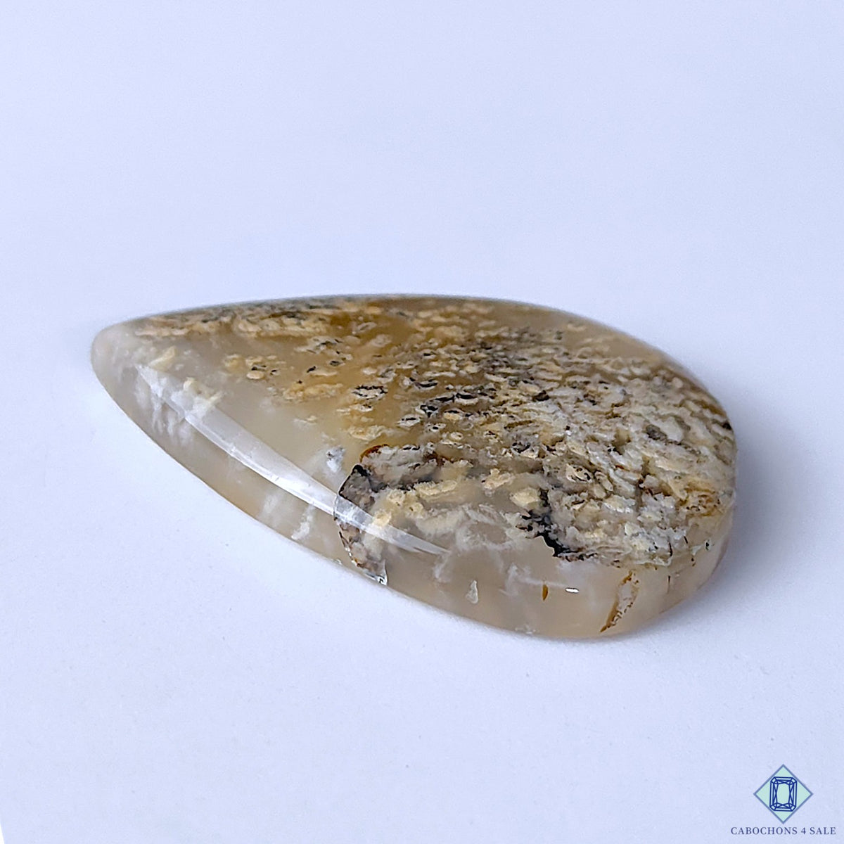 Tiger Dendritic Agate