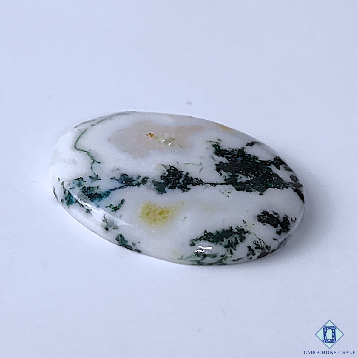 0-Tree_Agate-C4sw23097-3-Oval-White-mm-Cabochons-Opaque-0