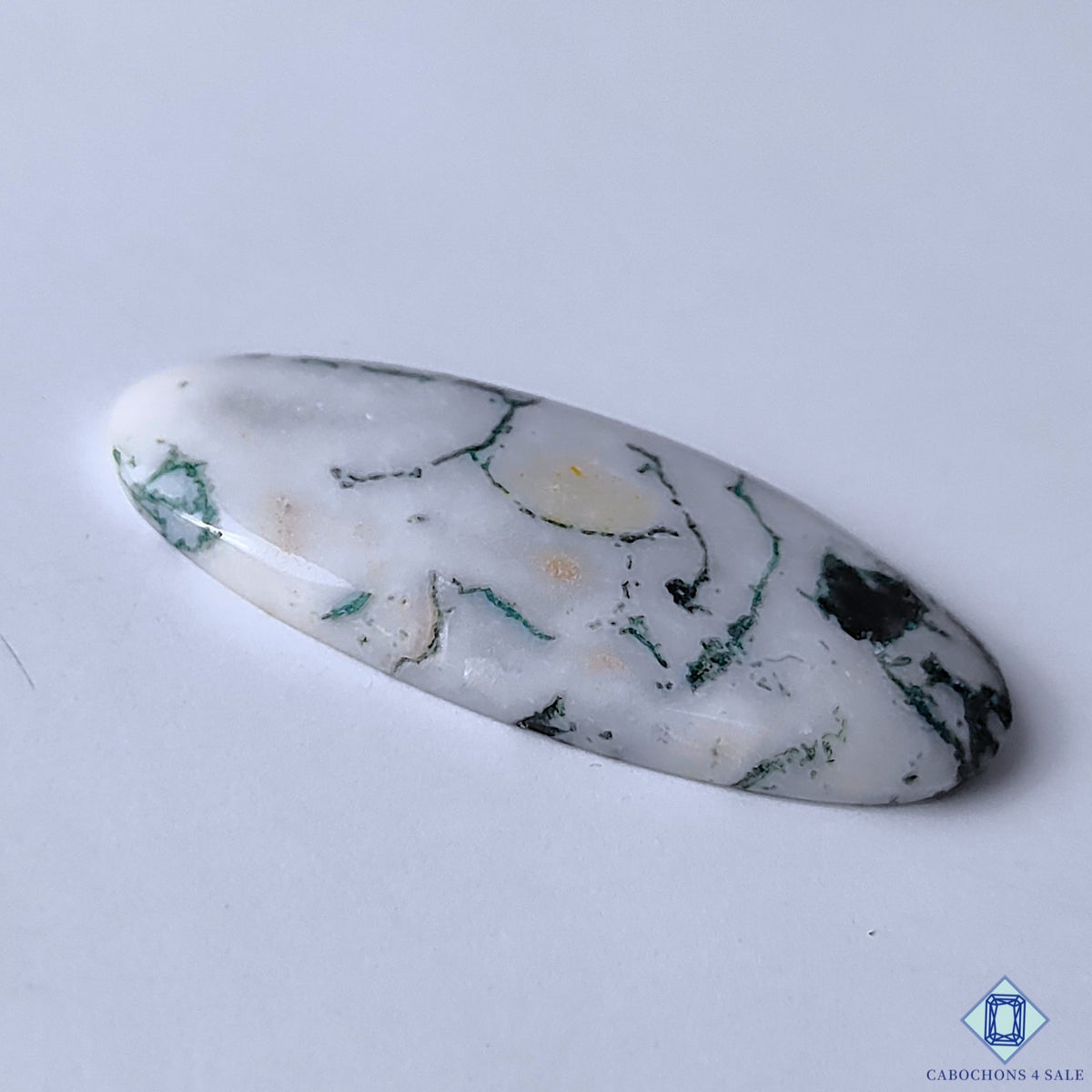 0-Tree_Agate-C4sw23098-3-Oval-White-mm-Cabochons-Opaque-0