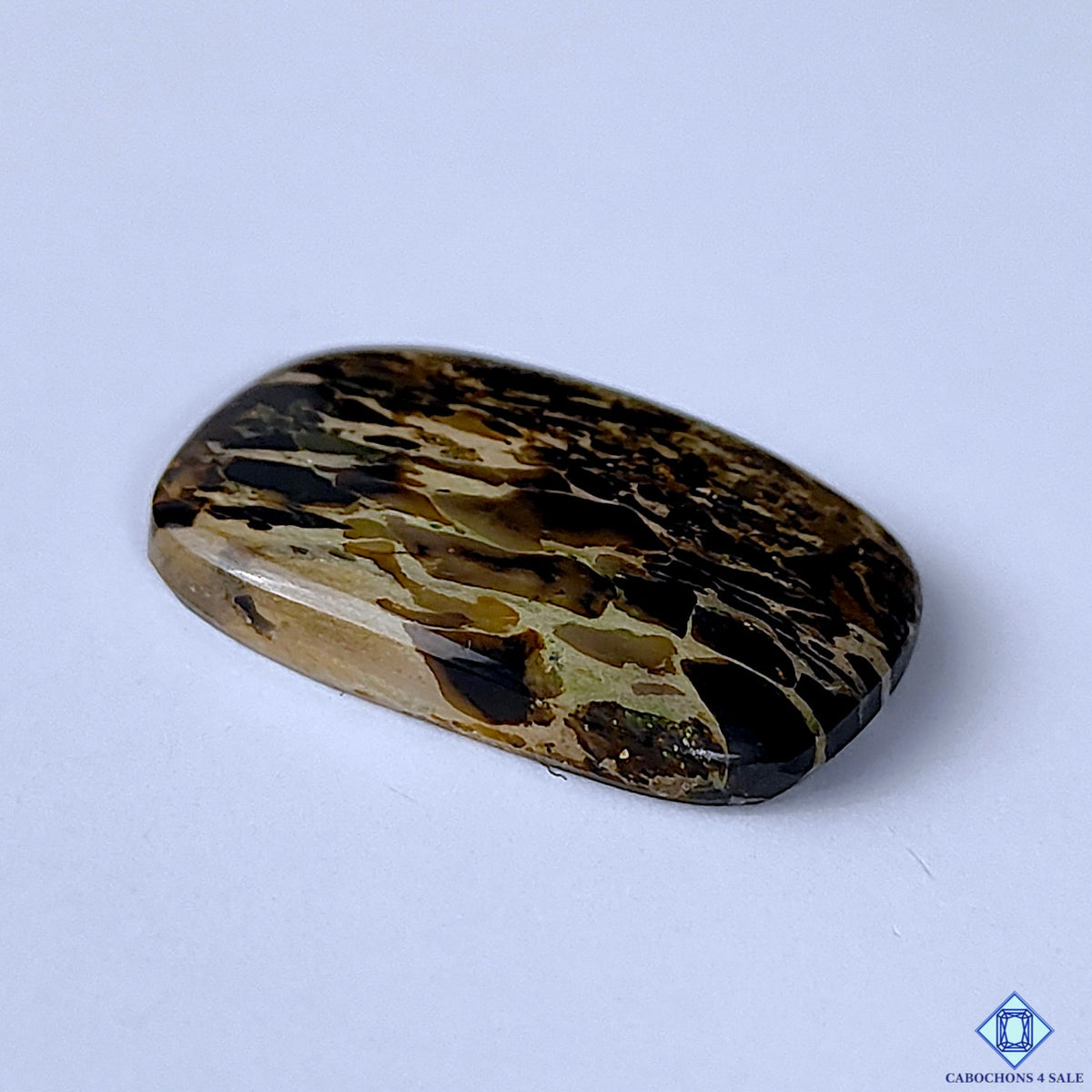 Turritella Agate