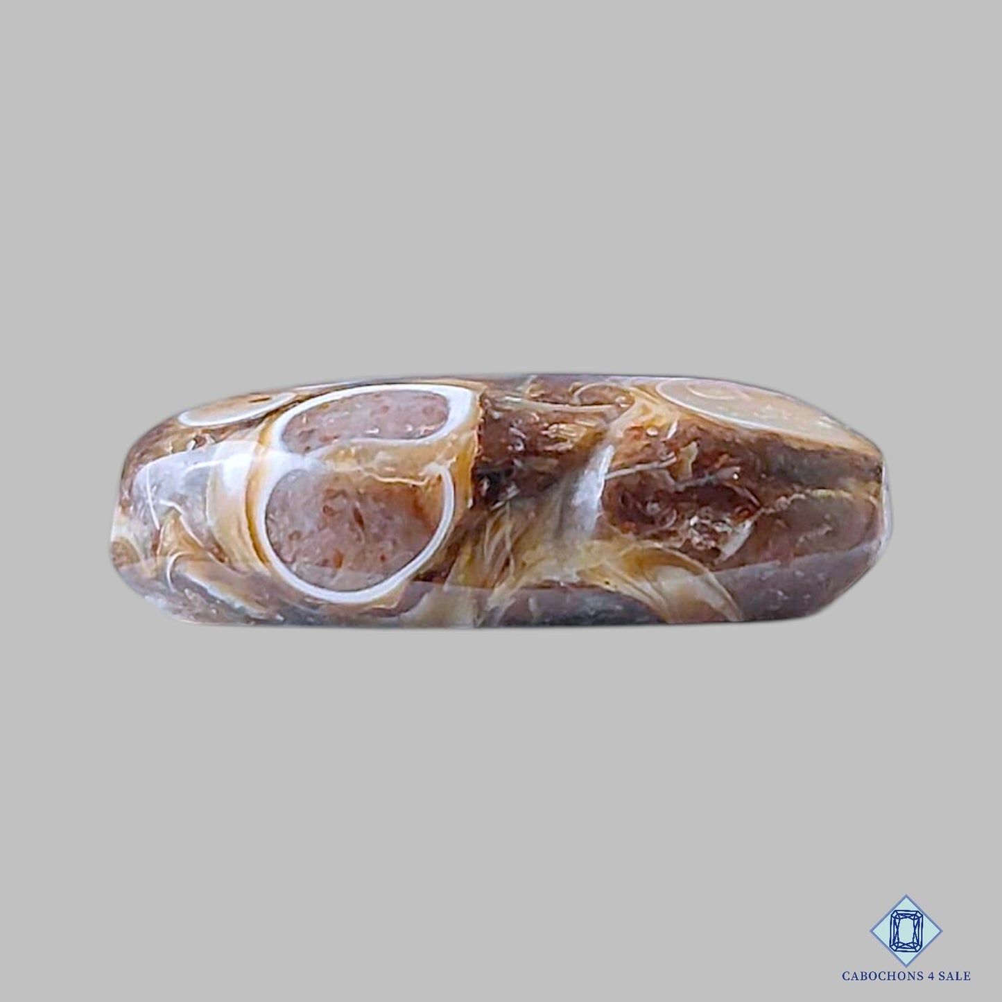 Turtella Agate