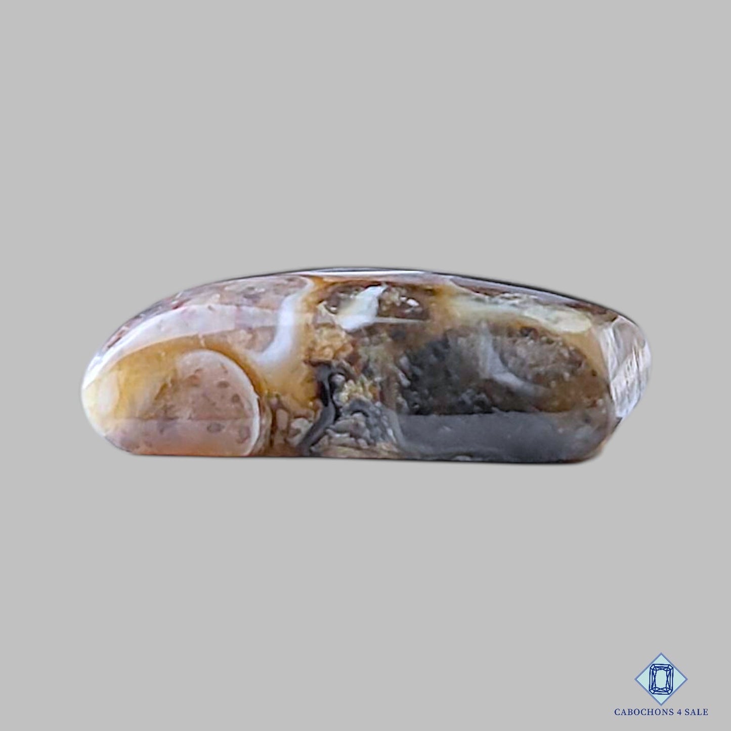 Turtella Agate