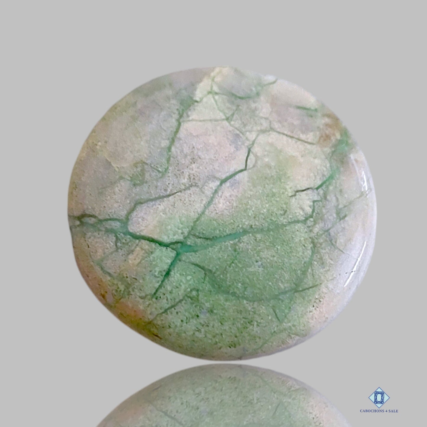 Variscite Round Cabochons