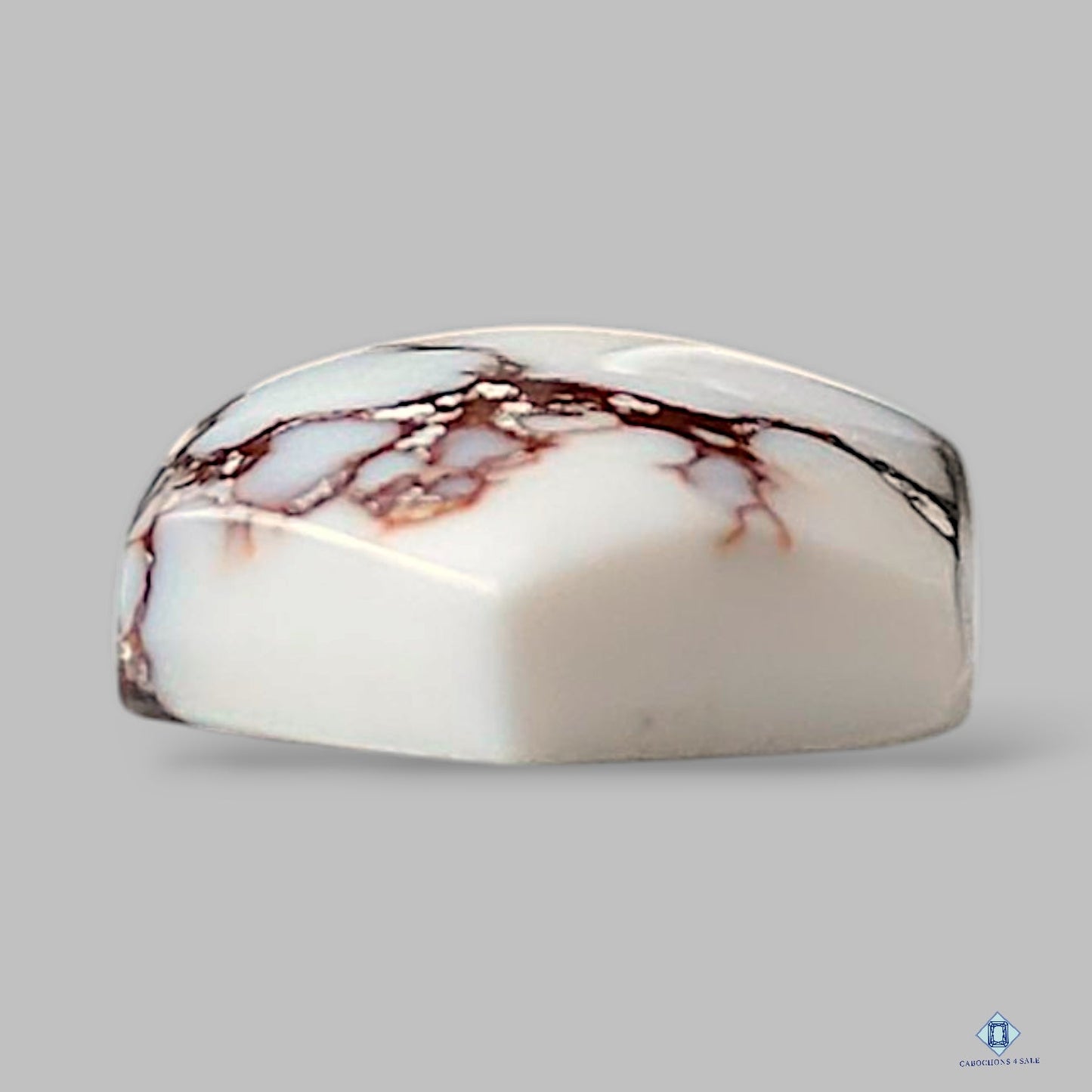 Natural Wild Horse Gemstone Fancy Cabochons 20*11*5mm from USA available for sale