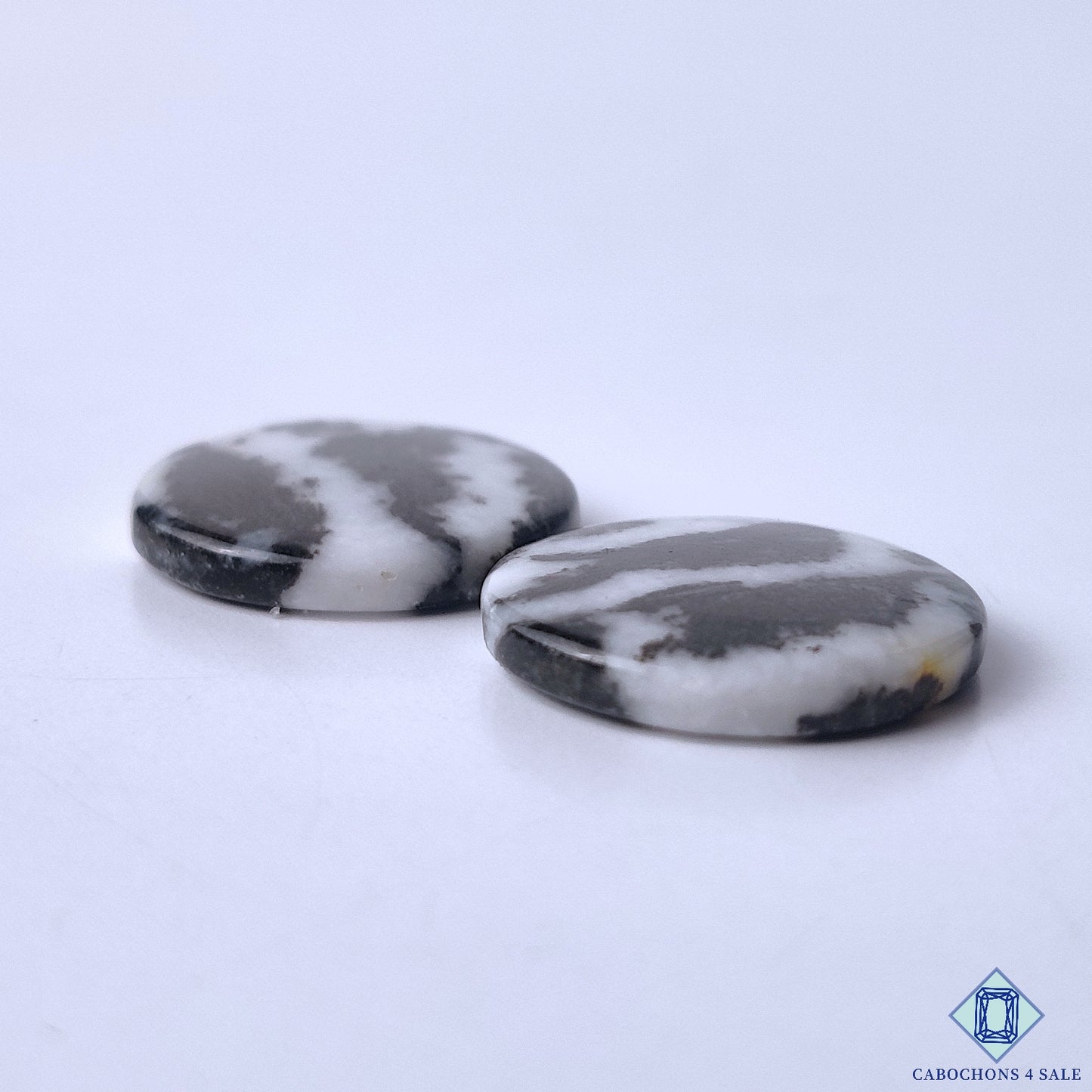 Zebra Jasper