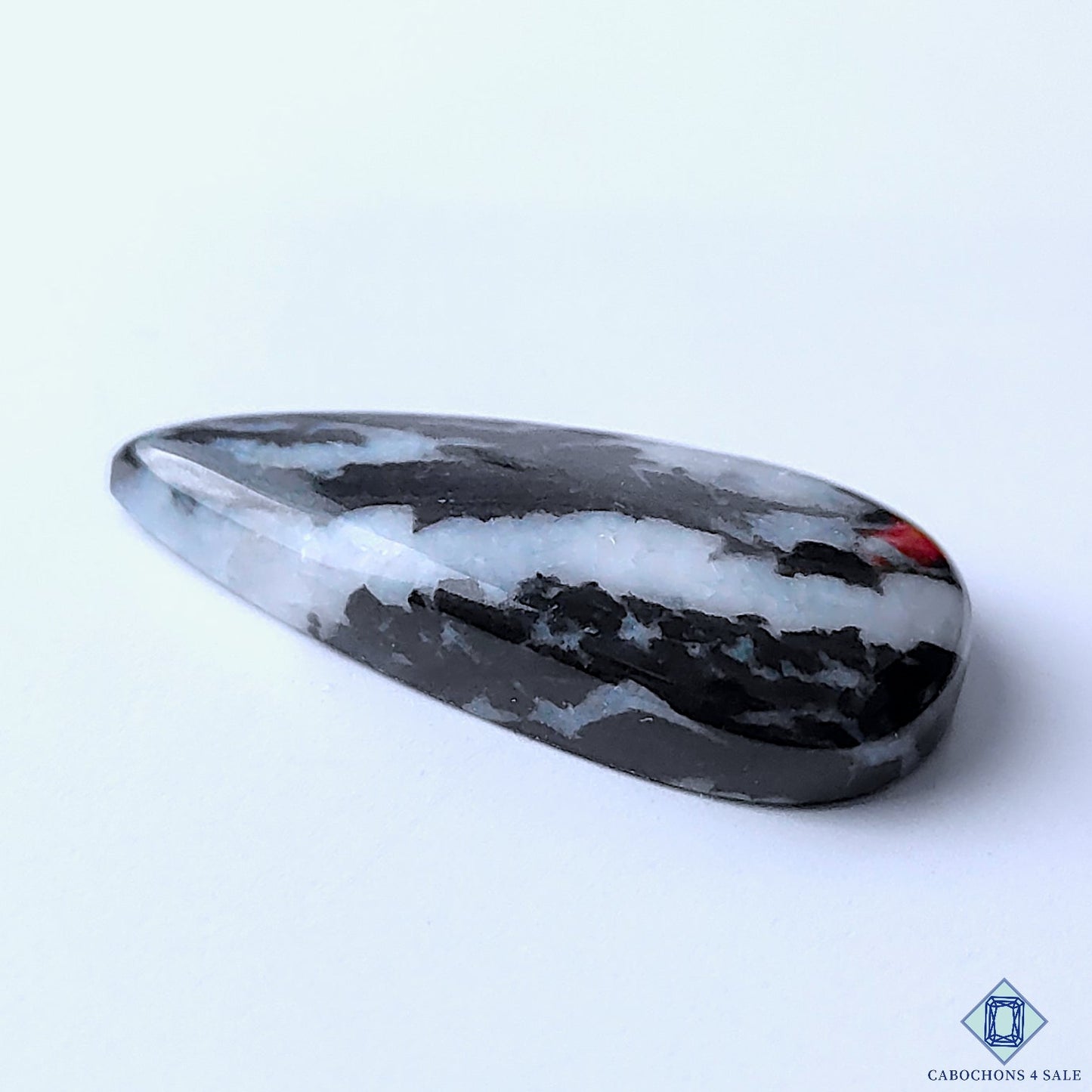 Zebra Jasper