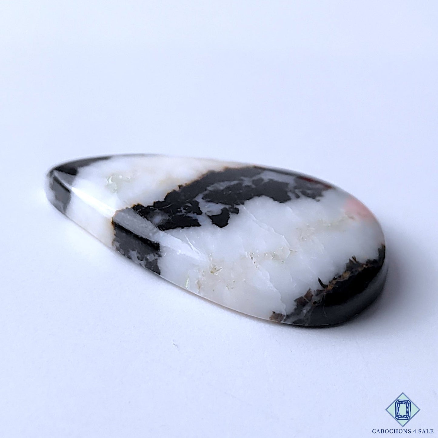 Zebra Jasper