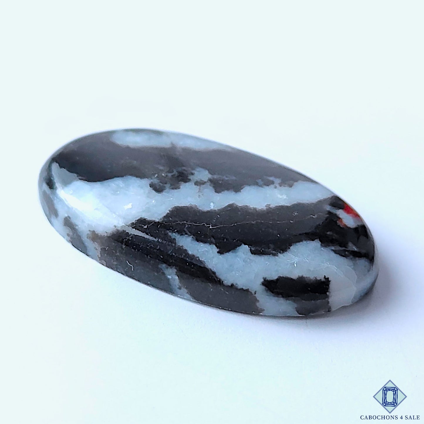 Zebra Jasper