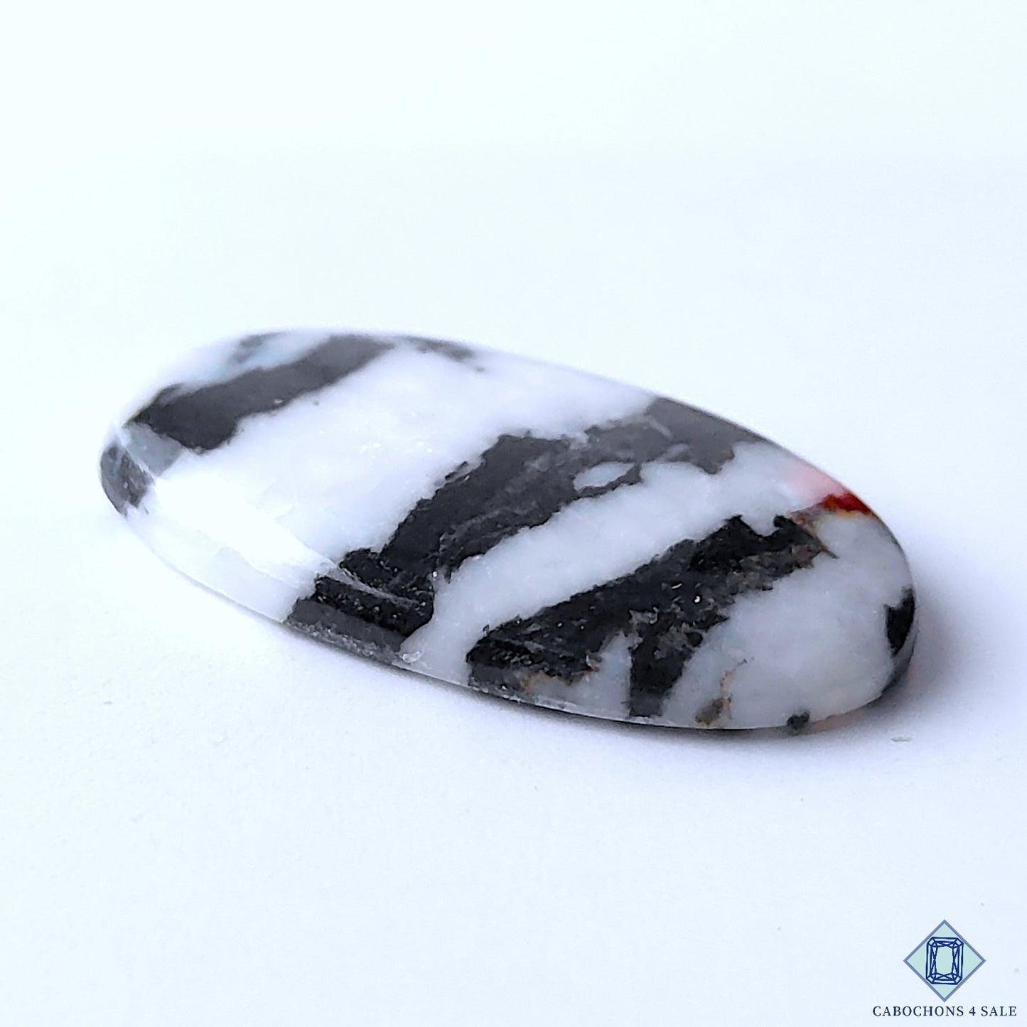 Zebra Jasper