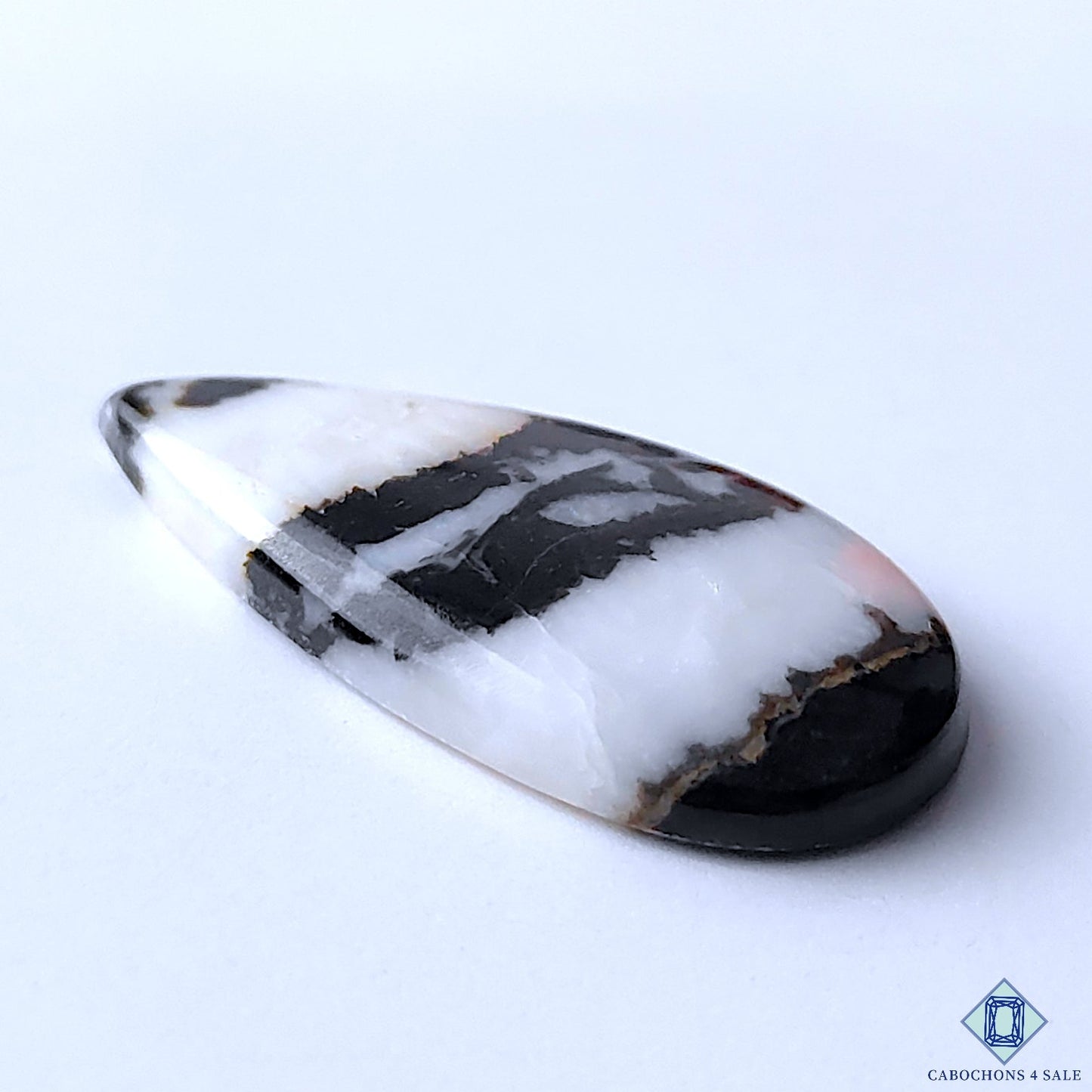 Zebra Jasper
