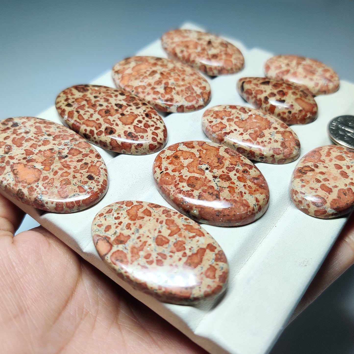 Asteroid Jasper Gemstone for Jewelry Making | Natural Jasper Loose Stone | High Quality Cabochon | Unique Pattern Gemstone