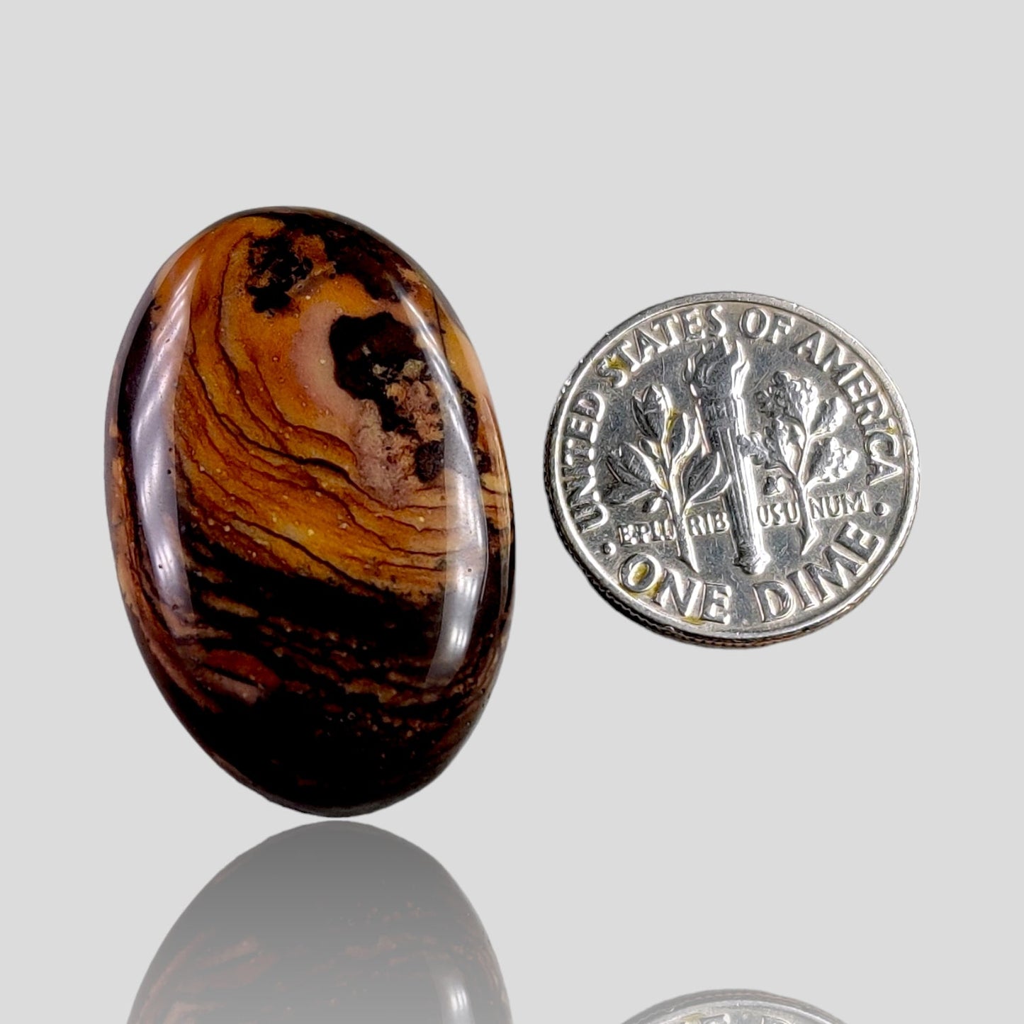 En la parte trasera de Jasper