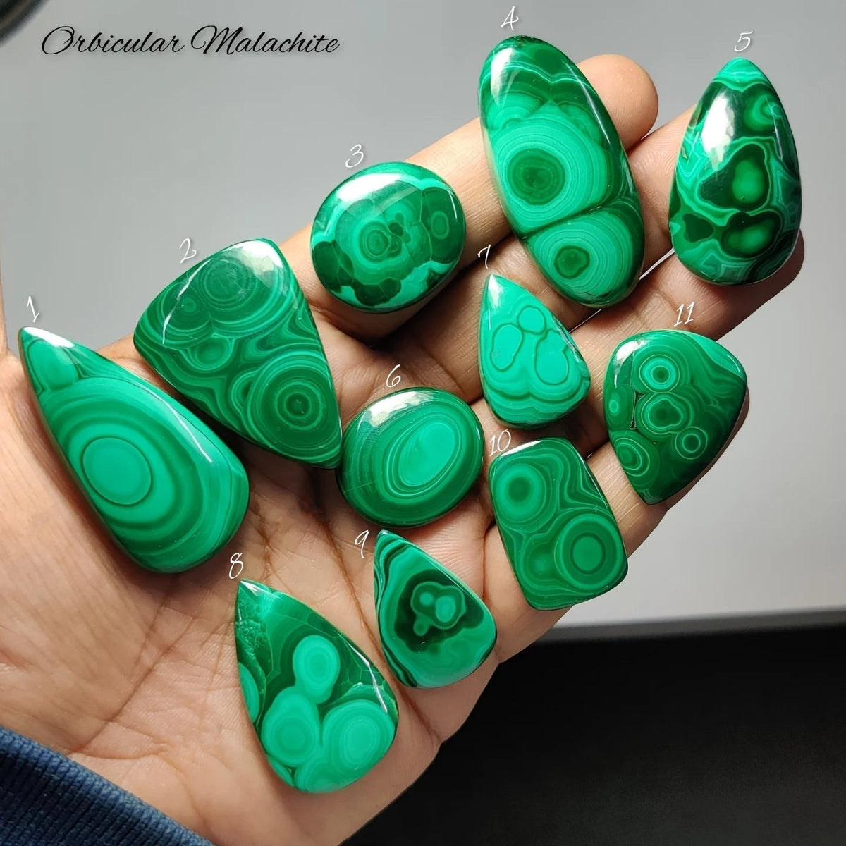 Cabochons4sale collection of polished orbicular malachite gemstones with natural green bullseye patterns held in a hand.