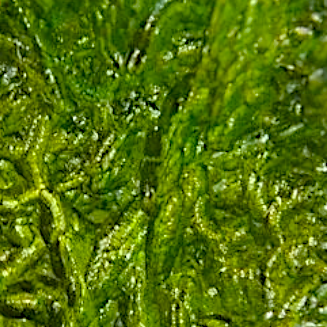 MOLDAVITE